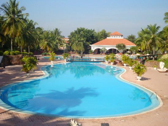 Luscious Lawns Listing Category The Golden Palms Hotel and Spa