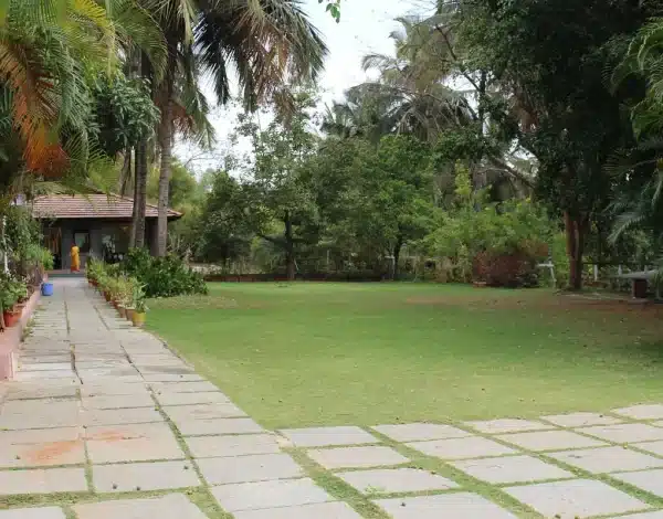 Luscious Lawns Listing Category Viva Fernleaf Resort viva fernleaf resort