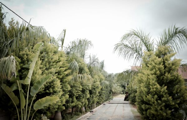 Chitrakoot Wedding Venue WhatsApp Image 2026 03 18 at 17.46.16 (3) Gallery 16