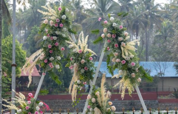 Khedda Resort WhatsApp Image 2026 03 21 at 16.21.18 (1) Gallery 17