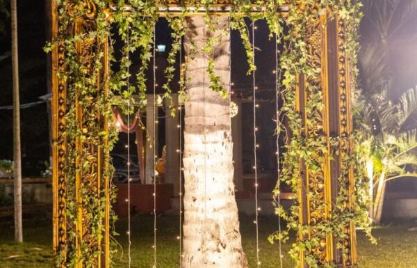 Khedda Resort WhatsApp Image 2026 03 21 at 16.21.20 Gallery 14